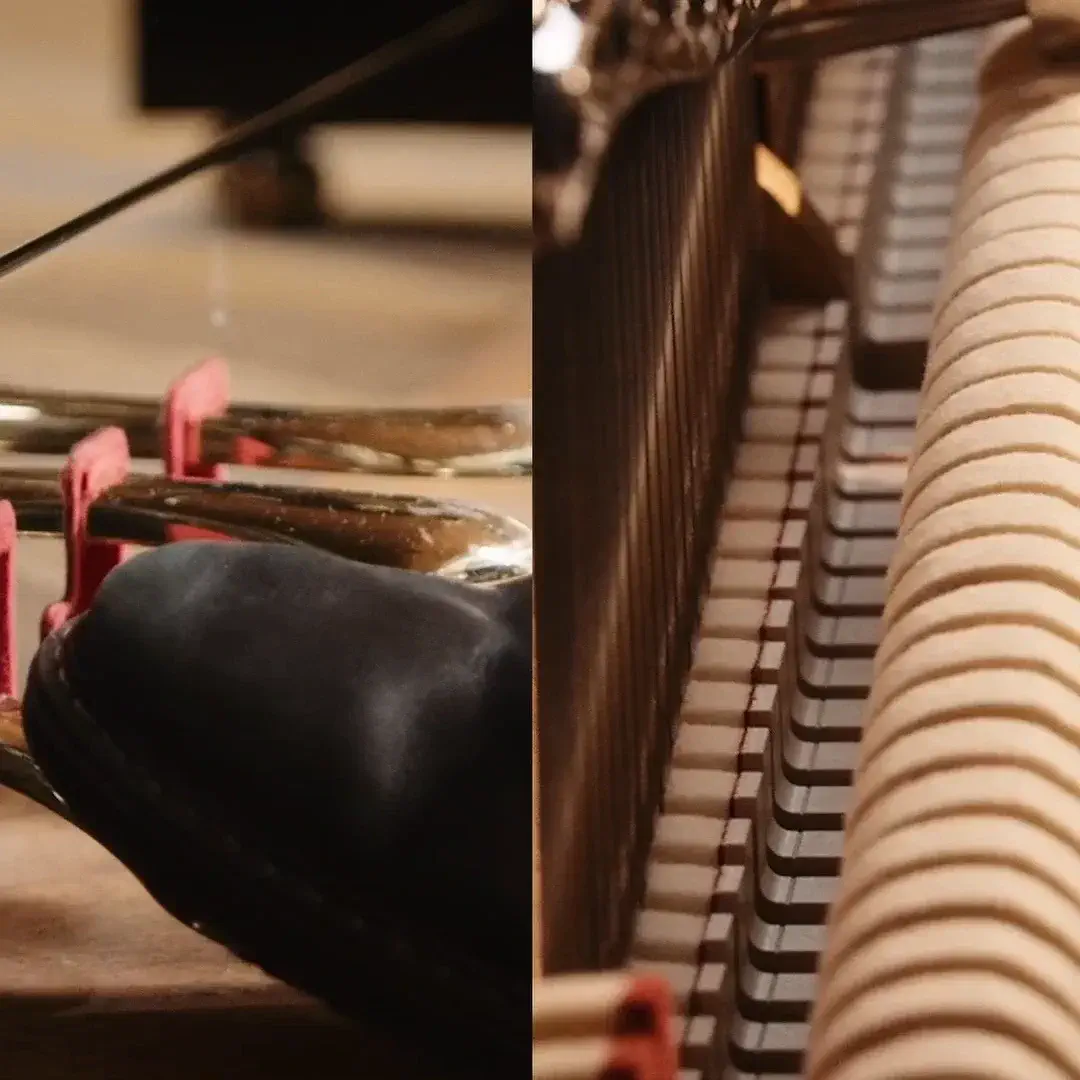 dolce-pedal-steinway-klavier-1-1.mp4 thumbnail