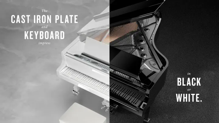 LE_ultra-black-ultra-white-limited-edition-steinway_EN.mp4 thumbnail