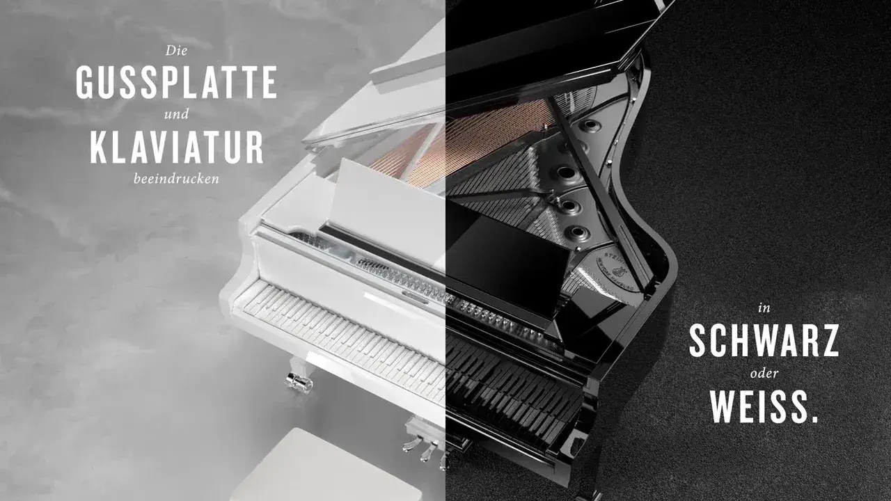 Ultra Black & Ultra White Limited Edition
