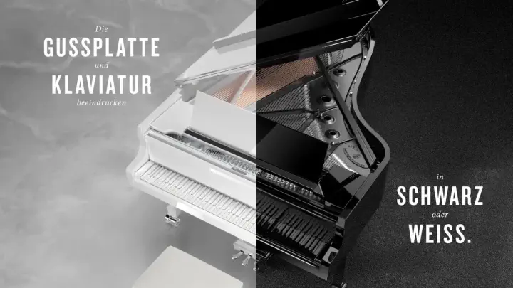 Ultra Black & Ultra White Limited Edition